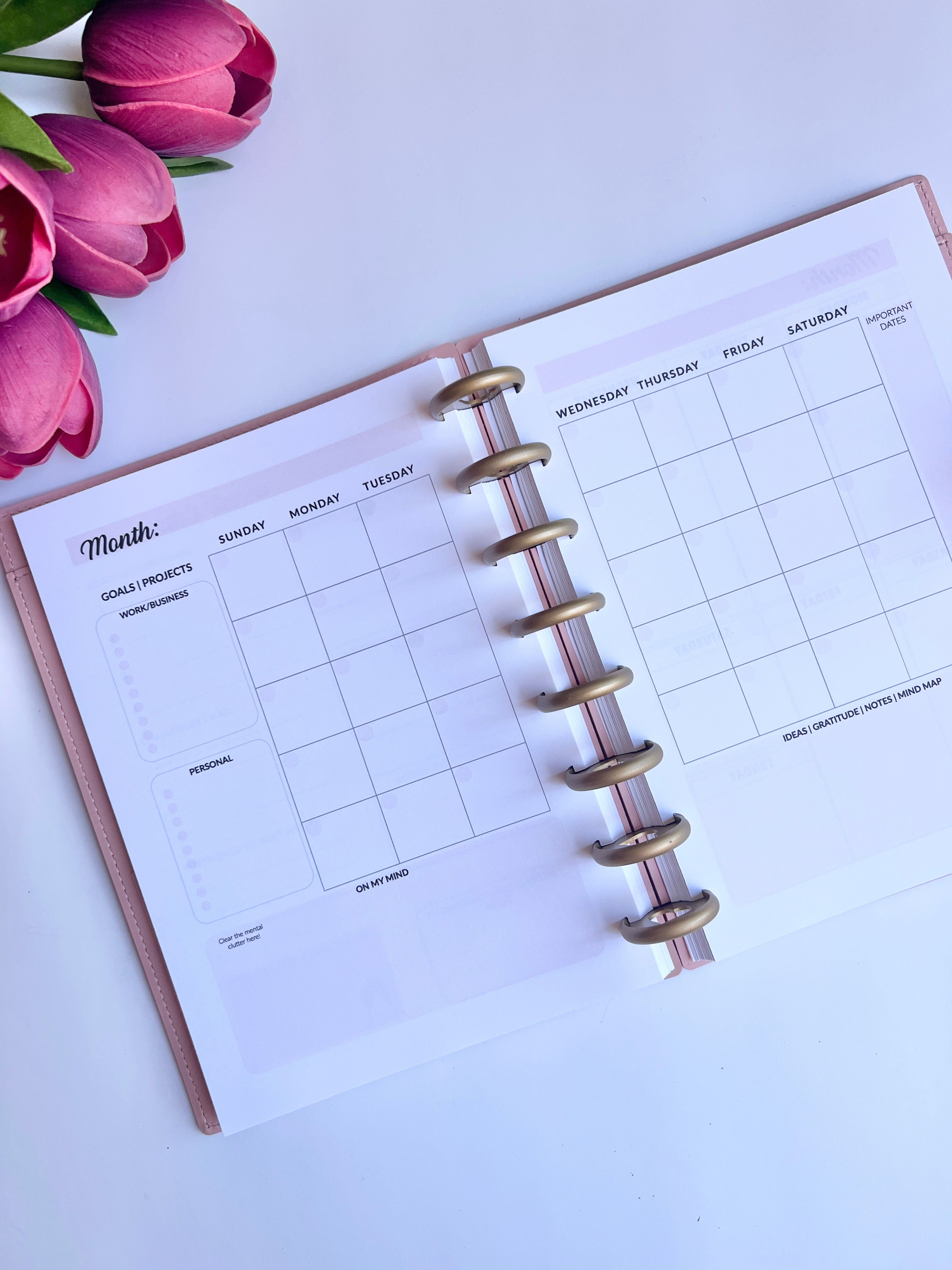 2026 Weekly and Monthly Discbound Planner - Laminated Cover