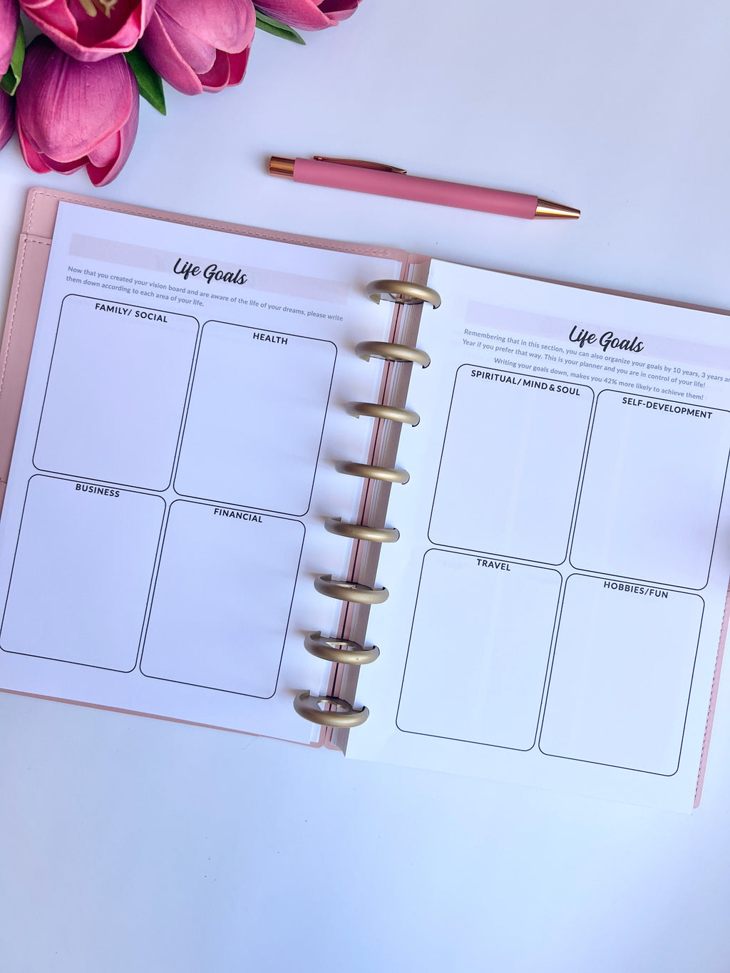 2026 Weekly and Monthly Discbound Planner - Laminated Cover