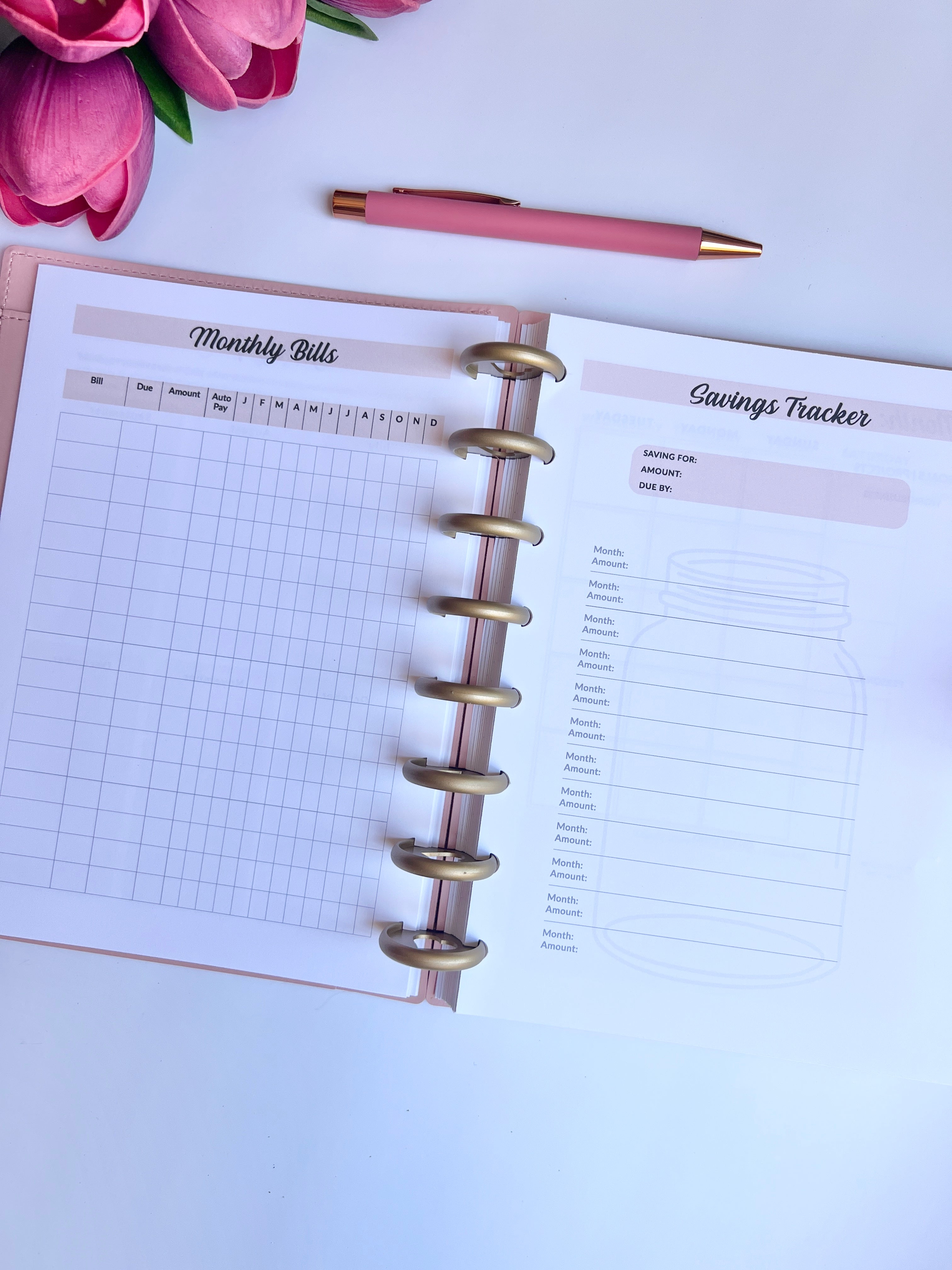 2026 Weekly and Monthly Discbound Planner